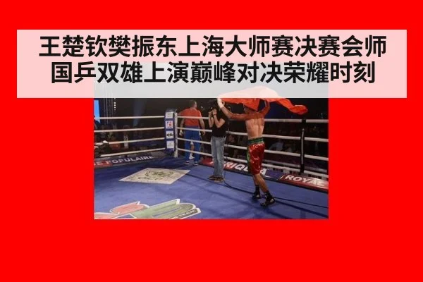 王楚钦樊振东上海大师赛决赛会师国乒双雄上演巅峰对决荣耀时刻